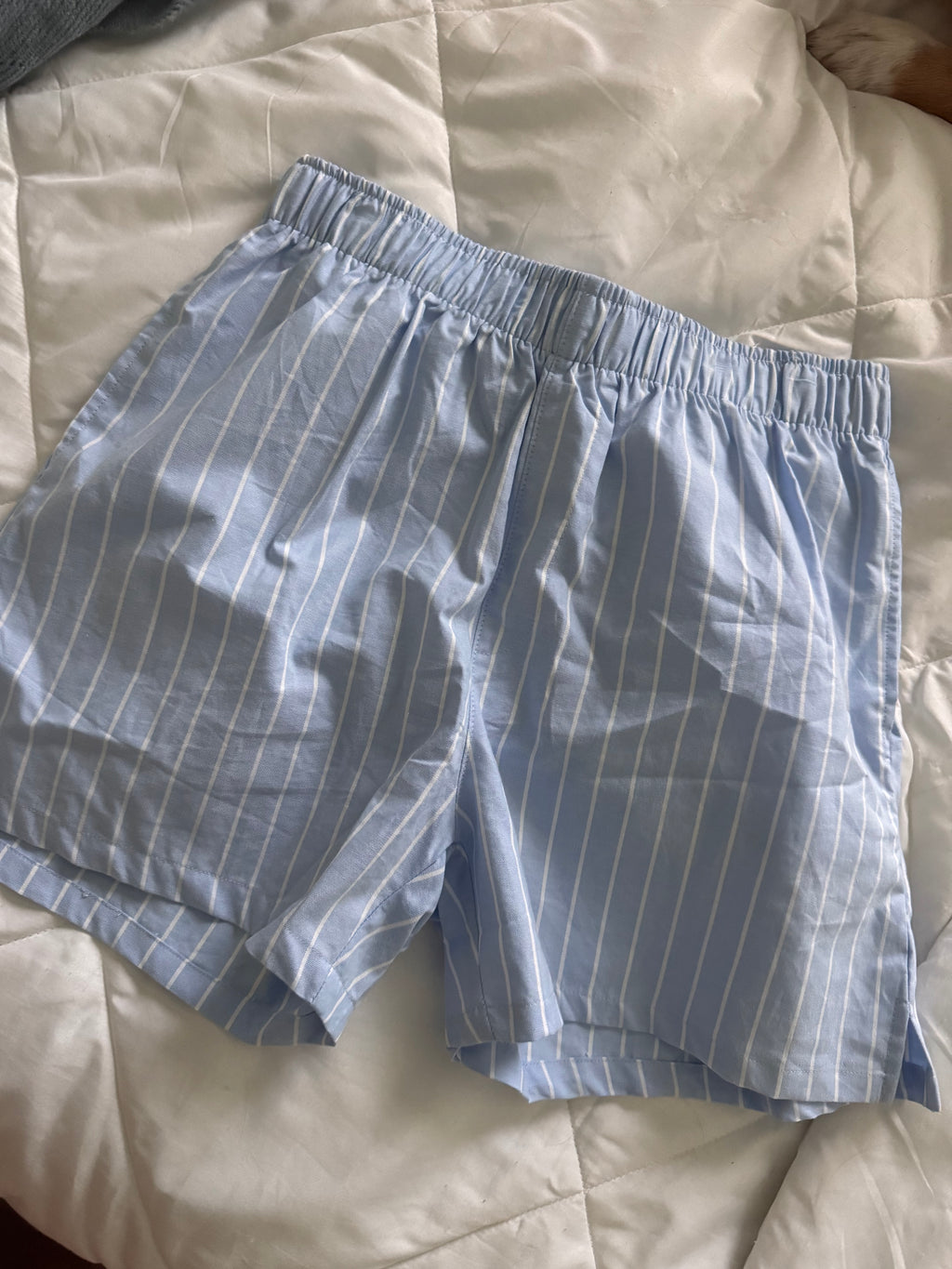 sam boxer shorts